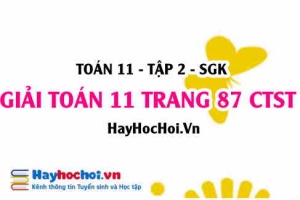 Bài 11 trang 87 Toán 11 tập 2 Chân trời sáng tạo